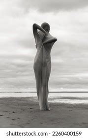 Nude Woman Dancer Transparent Fabric Poses Stock Photo Shutterstock