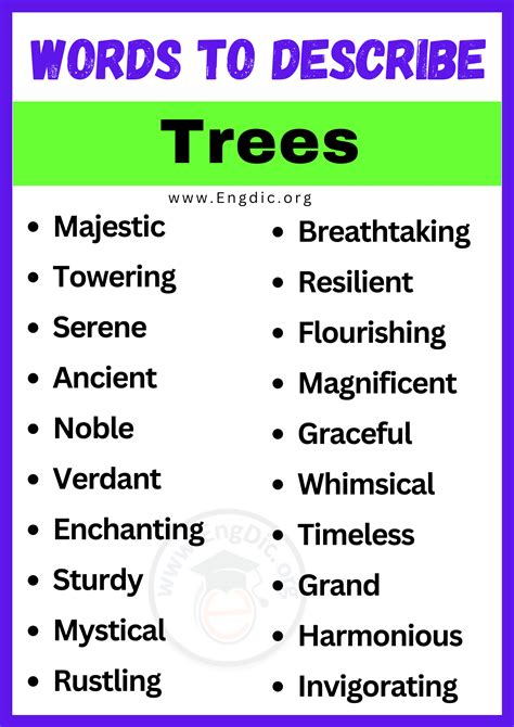 20 Best Words To Describe A Trees Adjectives For Trees Engdic