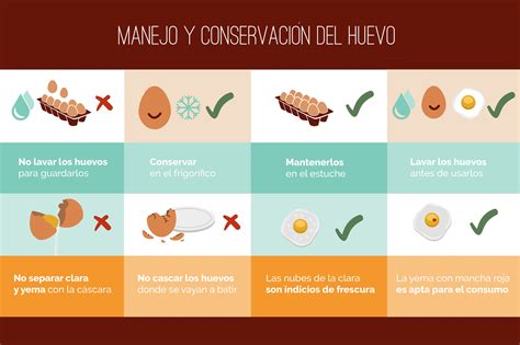 Cómo Conservar Los Huevos Frescos En La Nevera