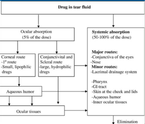 Pharmacokinetics Flashcards Quizlet