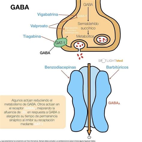 Anticonvulsivantes 2 Fisiología Farmacologia Receptores gaba