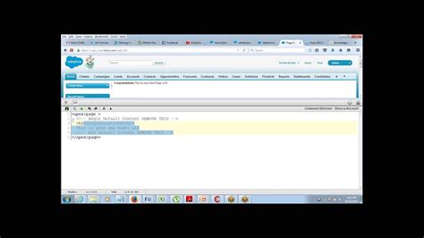 Working With Custom Controllers For Visualforce Pages Apex