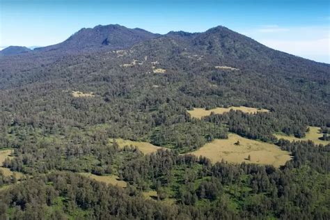 Beginilah Kondisi Desa Suci Jember Kampung Terpencil Di Lereng Gunung