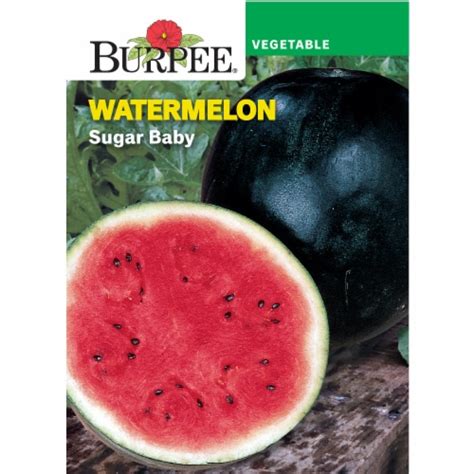 Burpee Blush Sugar Baby Watermelon Seeds Ct Kroger