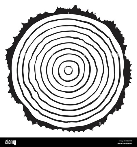 Stump Of Tree Tree Rings Art Or Fine Art Black Hi Res Stock Photography