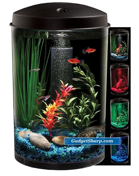 9 Cool Aquariums For Fish Lovers