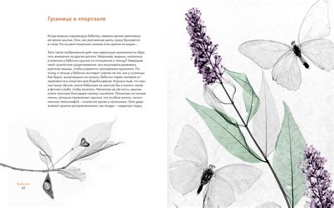 Вижу насквозь — 365 Книг