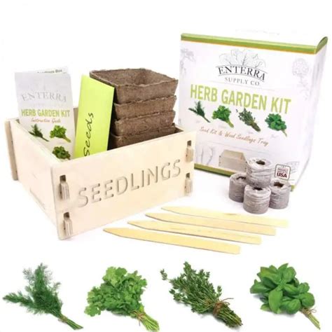 Best Starter Herb Garden Kits [Indoor Kits] | Family Food Garden