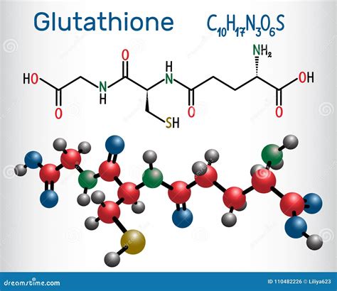 Glutathione GSH Molecule Is An Important Antioxidant In Plant Stock