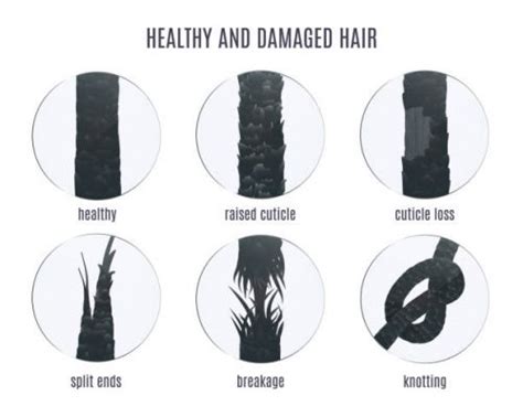 Hair shaft damage | Get free advice hair loss treatment specialist Lahore