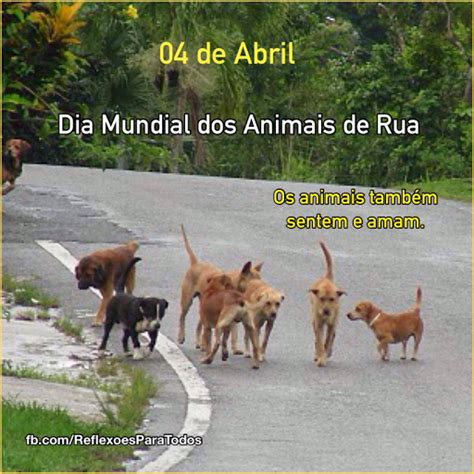 Reflex Es Para Todos De Abril Dia Mundial Dos Animais De Rua