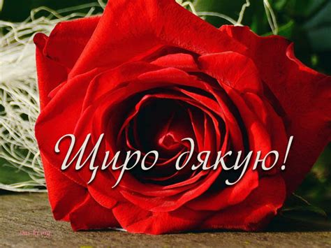 Картинка Щиро Дякую - 64 фото