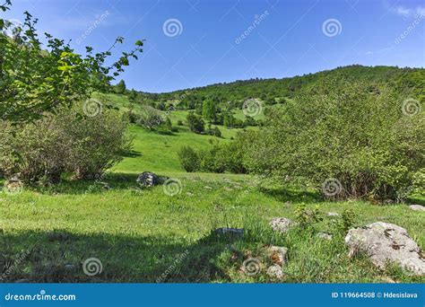 Landscape With Green Hills Near Village Of Fotinovo In Rhodopes