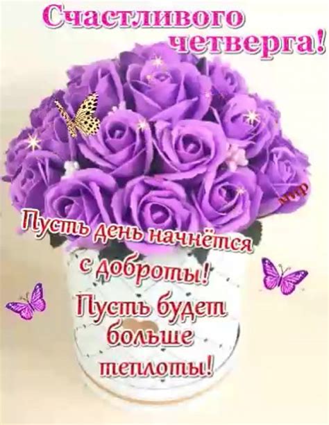Счастливого четверга: фотографии, которые поднимут настроение - snaply.ru