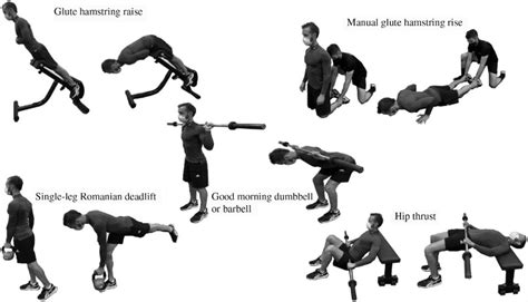 Eccentric Hamstring Exercises Pdf Eoua Blog