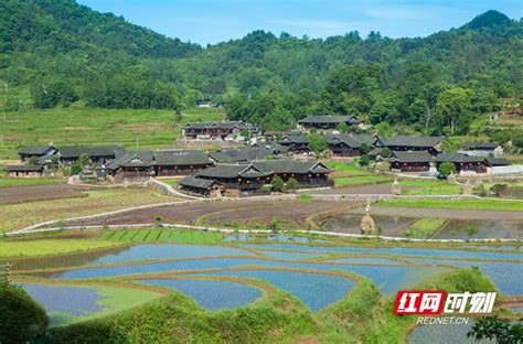 走进中国传统村落数字博物馆张家界市永定区石堰坪村：土家原生地 人文吊脚楼文化张家界站红网