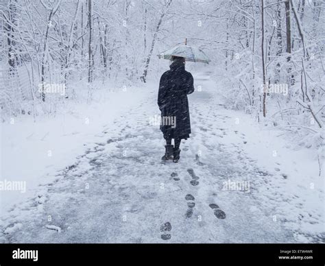 Woman Walks Alone Through Prospect Park During A Wet Snow Storm