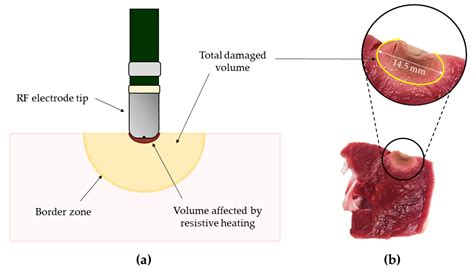 Sensors Free Full Text Techniques For Temperature Monitoring Of