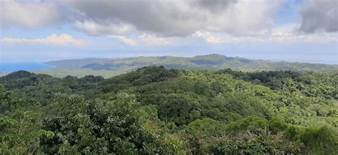 Mt Bandilaan National Park Experience The Beauty Of Siquijor From Above