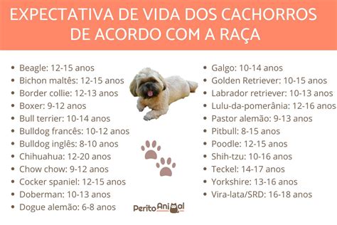 Quantos Anos Cachorros Vivem