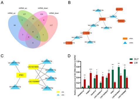 Biomolecules Free Full Text Comparative Transcriptomic Analysis Of