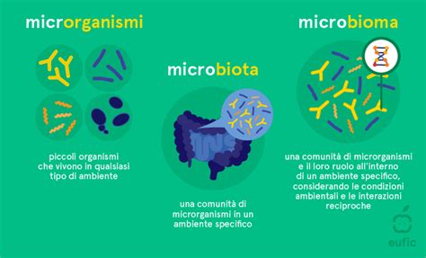 Microbioma o microbiota Eufic spiega l utilità dei microrganismi