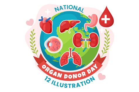 Premium National Organ Donor Day Illustration Pack From Healthcare