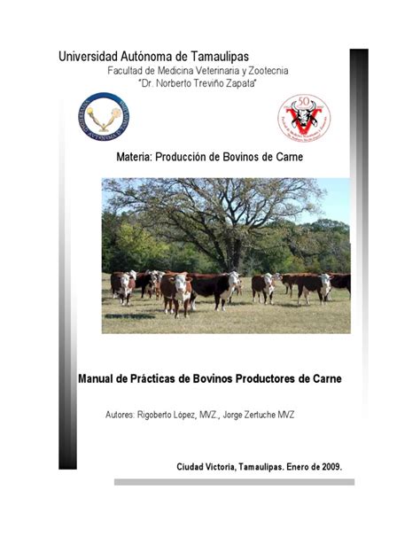 Pdf Manual De Pr Cticas De Bovinos De Carne Nuevo Dokumen Tips