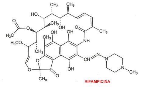 Rifampicina Para Qué Sirve Nombre Comercial Indicaciones Y Más