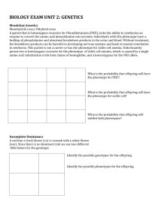 Complex Inheritance Patterns Worksheet Answers