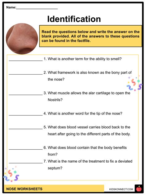 Nose Facts And Worksheets Functions Parts Injuries Care