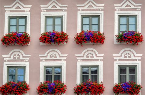 Solve Window Boxes Resizable 12 To 294 Pieces Jigsaw Puzzle Online