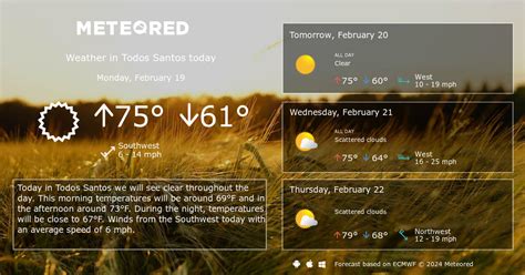 Todos Santos Weather 14 days - Meteored