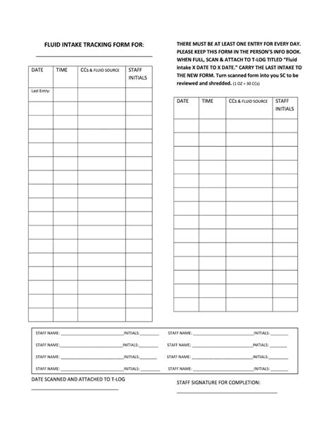 Food And Fluid Chart Template