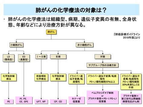 がん化学療法入門（2） 株式会社メディカルエデュケ－ション