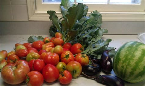 The Cherry House Life: Tomato sandwiches are better than kisses