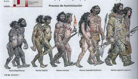 De Esperanza A Dos Minutos La Prehistoria Y Los Antepasados Del Ser