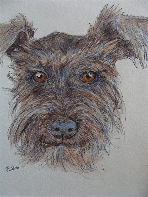 Scruffy Painting By Judy Fischer Walton Fine Art America