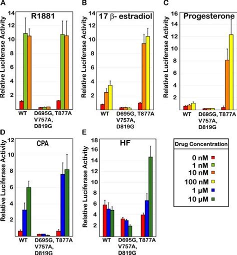 Ar Transcriptional Activity In Mammalian Cells A E Transcriptional