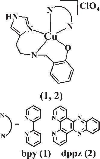 Schematic Diagram Of The Copper Ii Complexes 1 And 2 And The Ligands Download Scientific