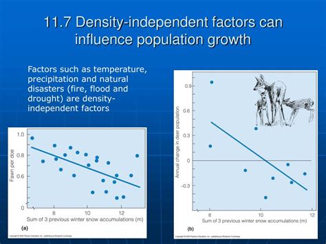 Ppt Biol 4120 Principles Of Ecology Lecture 11 Intraspecific Population Regulation