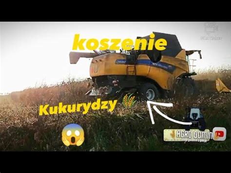 Koszenie Kukurydzy New Hollandem YouTube