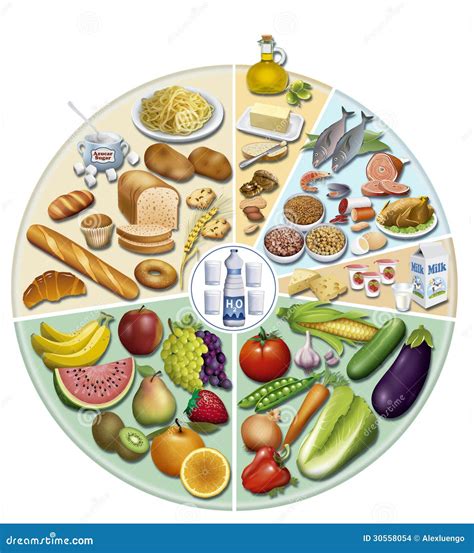 Balanced Diet Stock Illustration Illustration Of Health 30558054