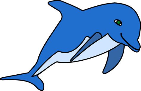 Дельфин Океан Море · Бесплатная векторная графика на Pixabay