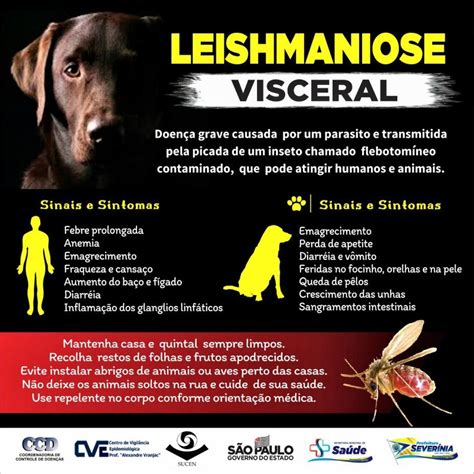 Semana Estadual de Prevenção à Leishmaniose Visceral Notícias