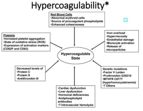 Anticoagulation Fibrinolysis And The Endothelium Flashcards Quizlet