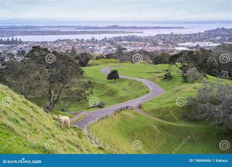 One Tree Hill Park In Auckland Stock Photo Image Of Gardens Green