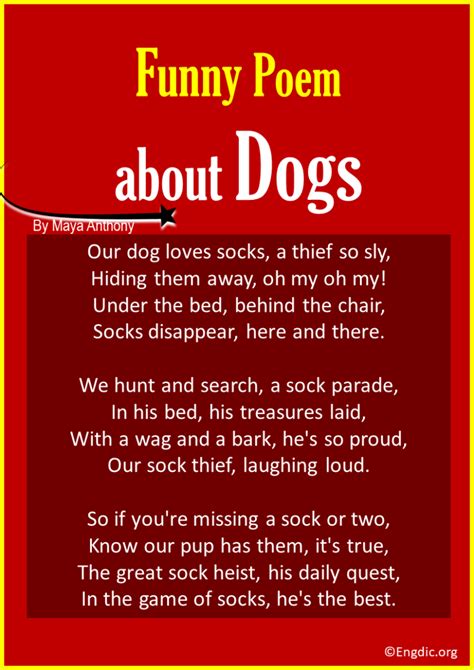 10 Best Funny Poems about Dogs - EngDic