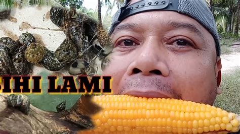 Pangunguha Ng Ulam Sa Ilalim Ng Mga Bakawan Youtube