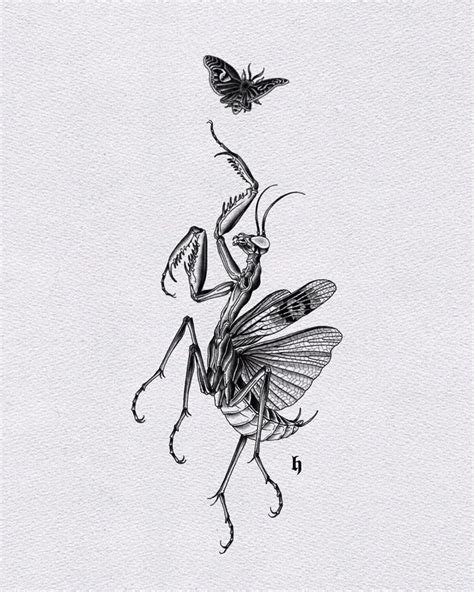 Pin By Terra Knapp On Boredpanda In Insect Tattoo Dark Art